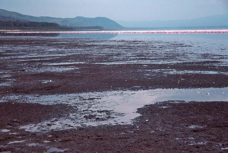 WT 1400 206-02 Kenya.jpg